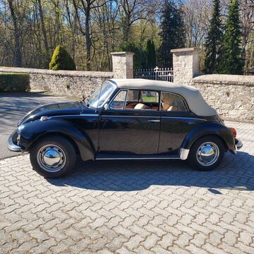 Gebrauchte VW Käfer