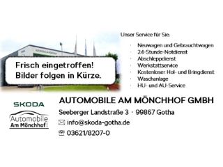Skoda Kamiq 43.850 km 21.490 &euro; Gotha 99867