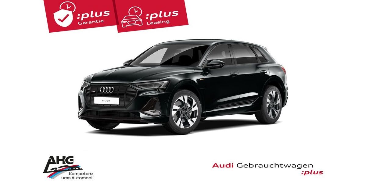 Audi e-tron 62.660 km 38.949 &euro; Gotha 99867