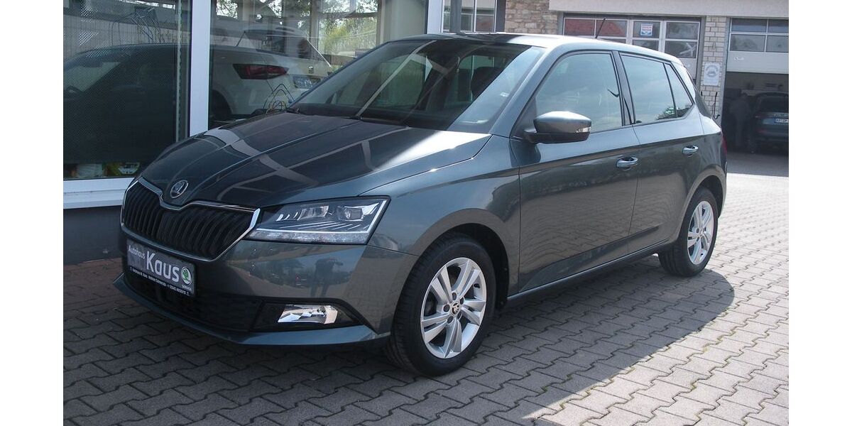 Skoda Fabia 34.000 km 14.390 &euro; Gelmeroda 99428