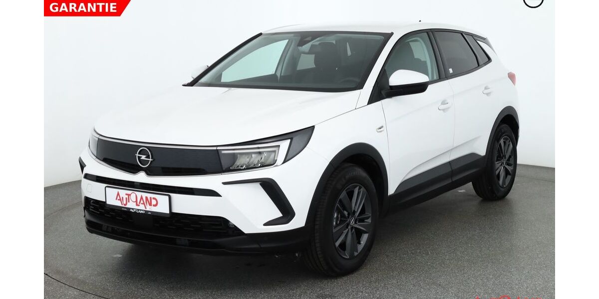Opel Grandland (X) 24.862 km 24.990 &euro; Gotha 99867