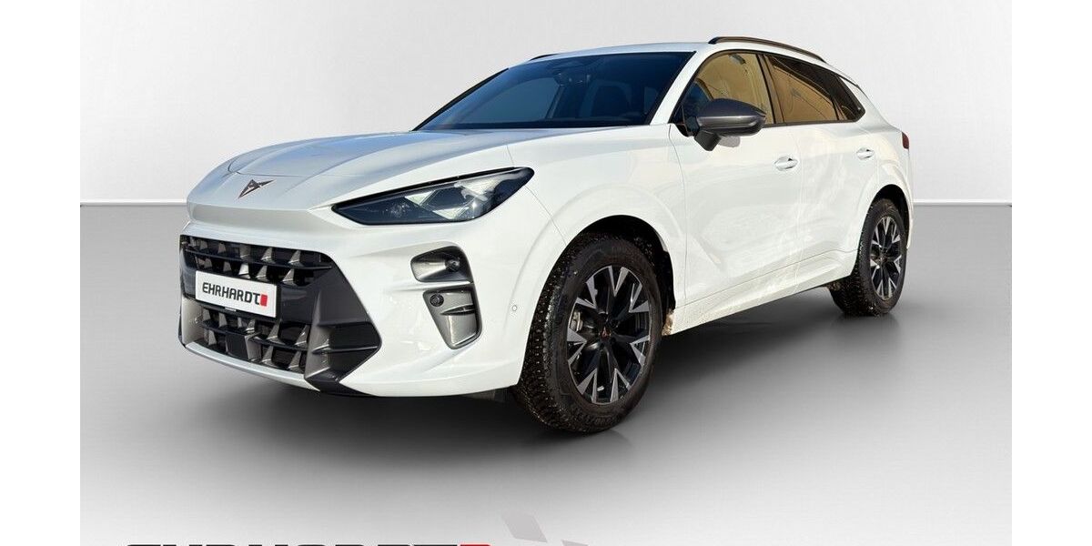 Cupra Terramar 28.080 km 32.980 &euro; Weimar 99427